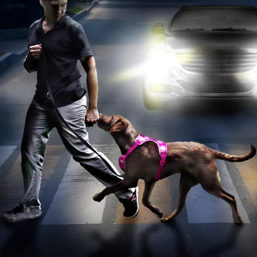 Vista 6 de Arnés para perro que brilla en la oscuridad recargable por USB (rosa, L)
