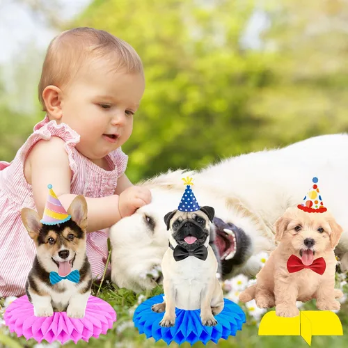 Vista 8 de 13 piezas de centro de mesa de panal para perros y bebés, suministros de fiesta de cumpleaños para mascotas, decoración de mesa para fiesta
