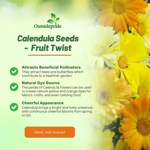 Vista 3 de Outsidepride Fruit Twist - Semillas de caléndula – 100 semillas anuales comestibles de flores para plantar para platos y usos de bienestar