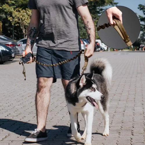 Vista 9 de Collar de perro de tamaño XS para cachorros, correa elástica ajustable de nailon para perro, correa táctica para perros con asa