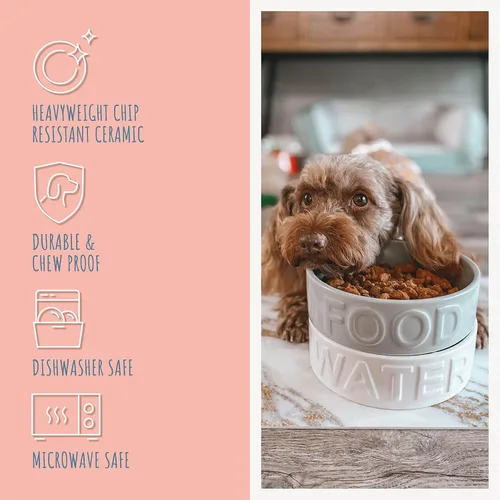 Vista 3 de Park Life - Cuencos de cerámica para mascotas, cuencos para alimentos y agua para perros y gatos, lindo cuenco para mascotas para perros y gatos Gris