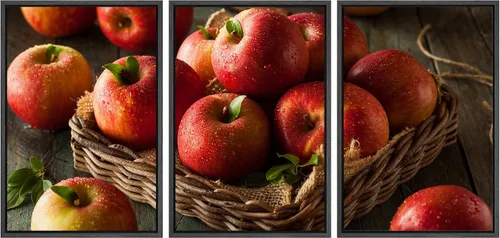 Vista 9 de wall26 Lienzo enmarcado para pared, juego de arte de hierbas, verduras y condimentos en madera, alimentos, fotografía cultural, realismo, paisaje