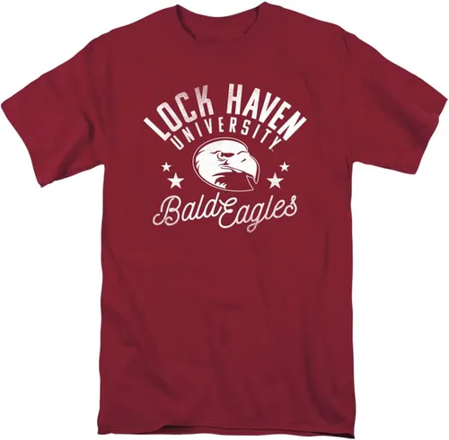 Vista 42 de Collegiate Distressed Mascot Unisex Adult T Shirt Collection 3 Universidad de Adelphi