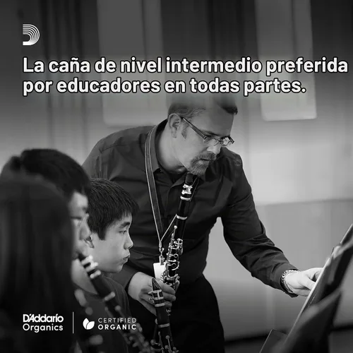 Vista 5 de Rico Royal cañas para clarinete Bb, 2.5