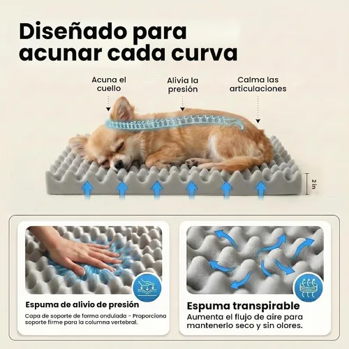 Vista 4 de Cama ortopédica para perros pequeños de 20 x 16 pulgadas, cama de espuma