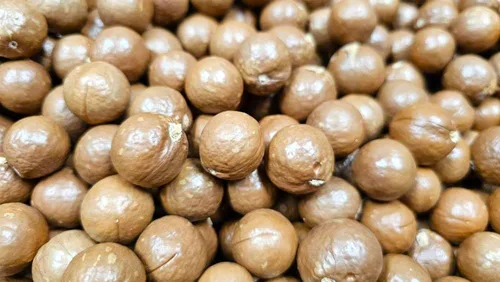 Vista 3 de Nueces de macadamia - En cáscara (entera) Tamaño mediano (1 LB)