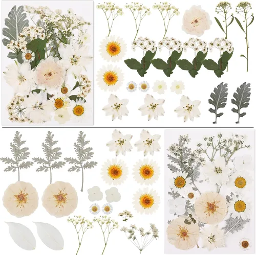 Vista 2 de NESCCI 83 piezas de flores secas para manualidades, flores prensadas secas