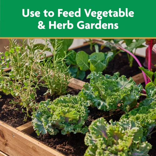 Vista 5 de Miracle-Gro Alimento vegetal soluble en agua, verduras y hierbas, 2 lb