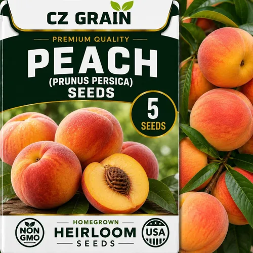 Vista 76 de CZ Grain Semillas para plantar, 40 pequeñas mezclas de calabaza