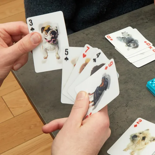 Vista 3 de Juego de cartas Kikkerland