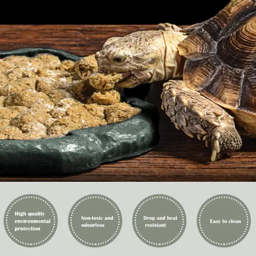 Vista 7 de Plato de agua de reptiles, cuenco de resina para reptiles, alimentos y agua, adorno de acuario para mascotas, placa de terrario para tortuga