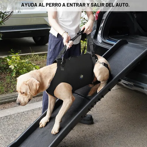 Vista 5 de Coodeo Arnés de elevación para perros, soporte y rehabilitación con correa ajustable acolchada y transpirable para perros ancianos, discapacitados