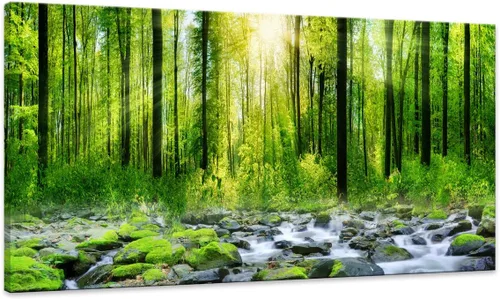 Vista 14 de Tucai Decor Lienzo decorativo para decoración de la mañana amanecer árboles verdes paisaje, sol sobre bosque, fotografía impresa en lienzo