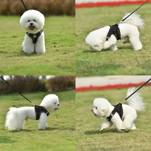 Vista 7 de Juego de arnés y correa para perros pequeños, arnés reflectante ajustable sin tirones, arnés transpirable suave para cachorros, perros pequeños