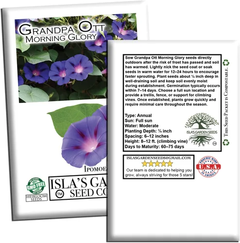 Vista 6 de Grandpa OTT Morning Glory Seed, 50 semillas de flores por paquete, (semillas de jardín de Isla), semillas sin OMG y reliquia, nombre botánico