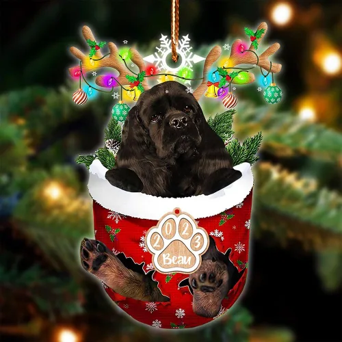 Vista 102 de NAZENTI Adorno Navideño de Bolsillo Personalizado de Affenpinscher en la Nieve, Adorno de Forma Acrílica de Perro, Adorno de Navidad 2023, Adorno