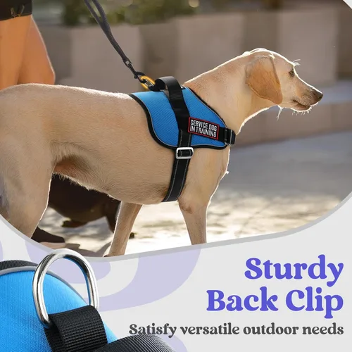 Vista 8 de rabbitgoo Arnés para perro pequeño, chaleco fácil de poner para mascotas con una hebilla, arnés de servicio ajustable sin tirones con anillo en D