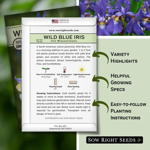 Vista 2 de Sow Right Seeds - Semillas de flores de iris azul silvestre para plantar - Favoritos de la floristería - Hermosas flores para plantar en tu jardín