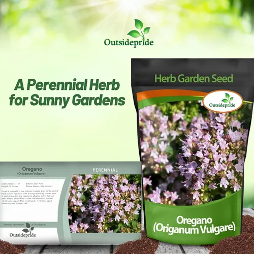 Vista 6 de Outsidepride Semillas de orégano comunes – 1/2 oz. Semillas de hierbas perennes, aromáticas fáciles de cultivar para uso culinario, sabrosos