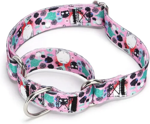 Vista 38 de Collar de perro de nailon resistente, collar ajustable de martingala para perros para caminar y entrenamiento para perros machos y hembras perros