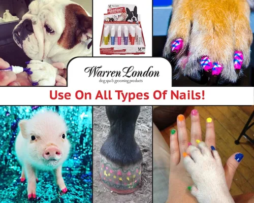 Vista 5 de Lápiz de pedicura Warren London Pawdicure, esmalte de uñas para perro, paquete de de 1, Negro