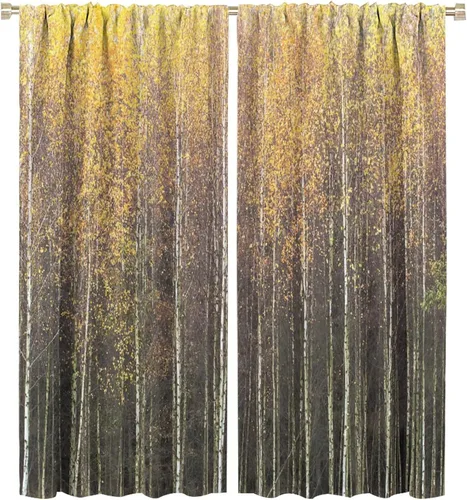 Vista 59 de Cortinas de abedul para sala de estar, niebla matutina en otoño, decoración del hogar, 42 x 45 pulgadas de largo