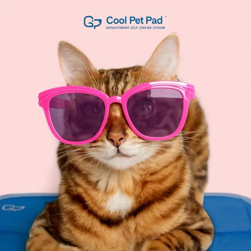 Vista 7 de The Green Pet Shop Cool Pet Pad – Extra pequeña, azul – Auto-refrigerante, alfombrilla activada por presión para perros y gatos de 0 a 8 libras