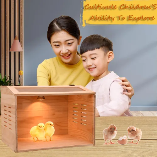 Vista 5 de Caja de cría para pollitos, caja de criador de pollo, calentador de pollo, criador de aves de corral con calentadores para pollitos bebés, patos