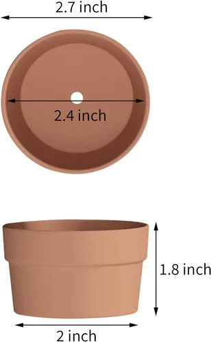 Vista 2 de Fcacti Macetas de terracota poco profundas de 2.7 pulgadas para suculentas, paquete de 30 macetas de arcilla terracota con drenaje, macetas