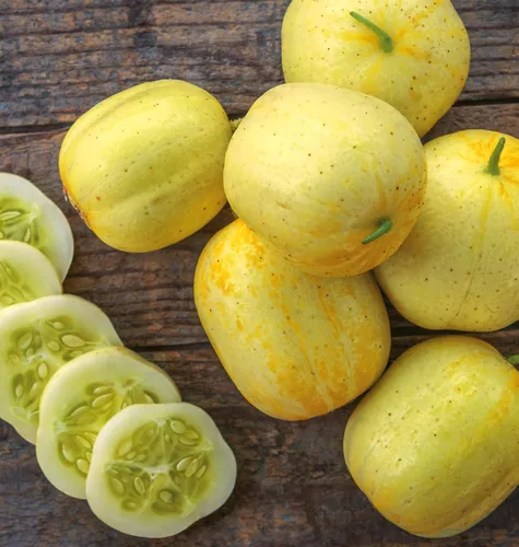Vista 13 de Burpee "Marketmore 76" - Semillas de pepino para rebanar, 125 semillas No-GMO, Heirloom