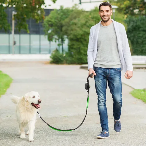 Vista 8 de Correa para perro sin tirones para perros grandes, correa elástica altamente reflectante de 6 pies, correa resistente para perros grandes, 4 asas