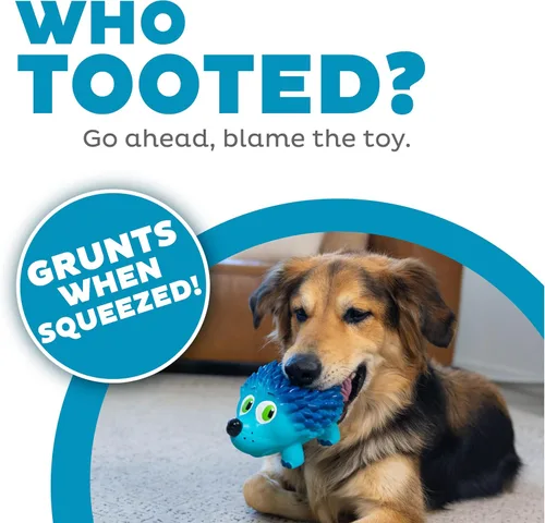 Vista 2 de Outward Hound Tootiez - Juguete de látex de erizo que gruñe para perro, tamaño grande