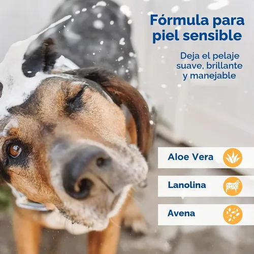 Vista 3 de Zodiac Champú acondicionador de avena para perros y cachorros, 18 onzas, pequeño