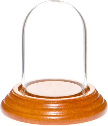Vista 6 de Plymor Mini campana de cristal en forma de domo para exhibición, de 1.85 x 2.875 pulgadas