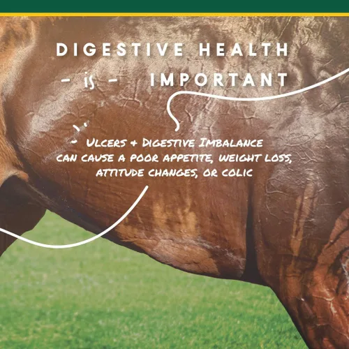 Vista 3 de Manna Pro Corta-Flx U-Gard Pellets Suplemento digestivo equino natural para mantener la salud gástrica Ayuda a prevenir la formación de úlceras