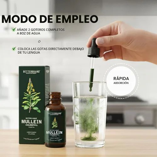 Vista 6 de Gotas de gordolobo Betterbrand para desintoxicación pulmonar - Tintura de hoja de gordolobo con clorofila - Ayuda a apoyar la salud respiratoria