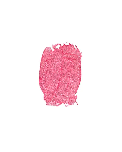 Vista 2 de MODE Frosty Candy Pink Rose Pearl Laca labial Ultra Shine Brillo labial ADICCIÓN Hidratante de larga duración, color cremoso brillante, aceites