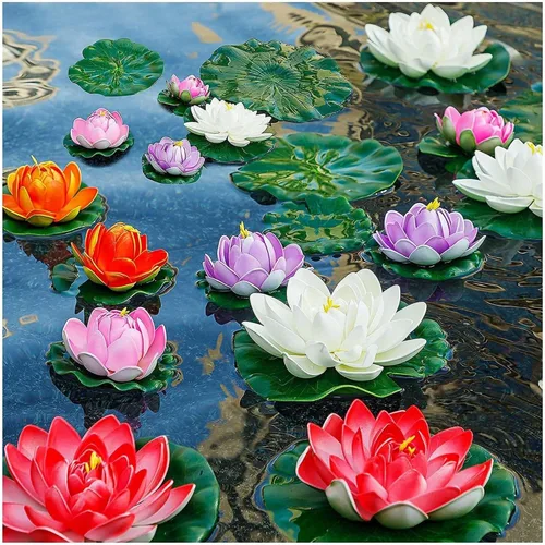 Vista 5 de Más de 30 tazones de semillas de loto bonsái para plantar semillas de flores de lirio acuático, semillas de plantas sin OMG, semillas de jardín