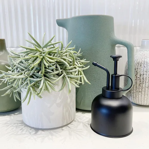 Vista 4 de Plant Mister - Botella rociadora de acero inoxidable para plantas de interior, rociador de bonsái, rociador de suculentas, atomizador de plantas