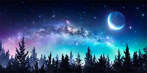 Vista 12 de AOFOTO Telón de fondo de bosque de cielo nocturno de 5 x 3 pies, universo, nebulosa, galaxia, cielo estrellado, fondo para fotos, luces coloridas