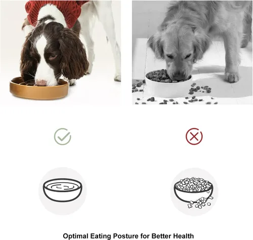 Vista 7 de Comedero de cerámica con laberinto para perros de alimentación lenta con borde de silicona antideslizante – Tazón de gres resistente