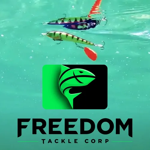 Vista 5 de Topwater Minnow