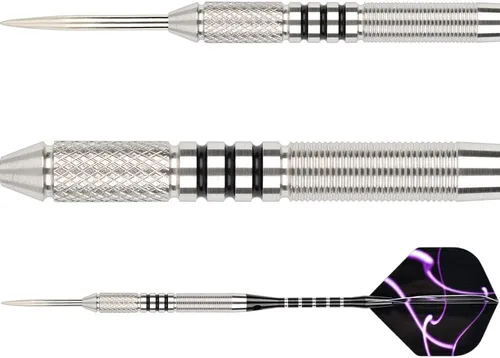 Vista 4 de 24g 90% Tungsten Professional Steel Tip Darts Set Point Protector