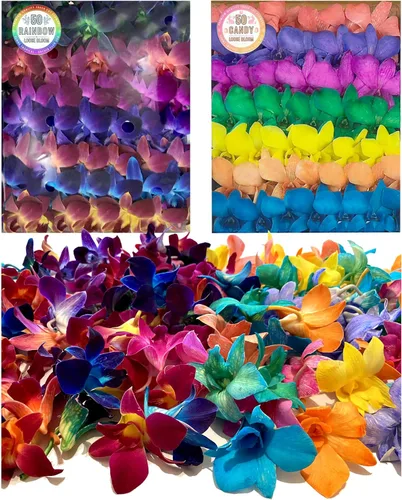 Vista 13 de Flores de orquídea frescas Miami OrchidClub USA Sunne Tropical en suelto, decoración para comida y bebida (100 AZUL PURPURA)