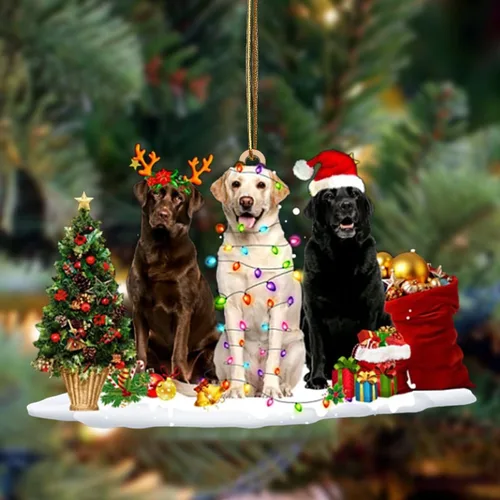 Vista 34 de Nazenti Adorno de Navidad personalizado con amigos Affenpinscher – Adorno de perro personalizado para amantes de las mascotas, acrílico plano