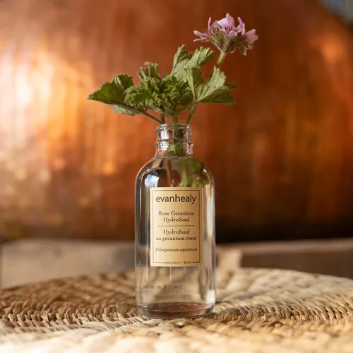 Vista 3 de evanhealy Rose Geranium HydroSoul Hidrosol destilado de cobre Tónico facial orgánico suave y astringente Tónico facial equilibrante