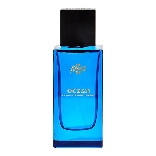 Vista 3 de Bath & Body Works Canyon - Fragancia en aerosol de colonia para hombre (Canyon), 3.40 onzas (paquete de 1)