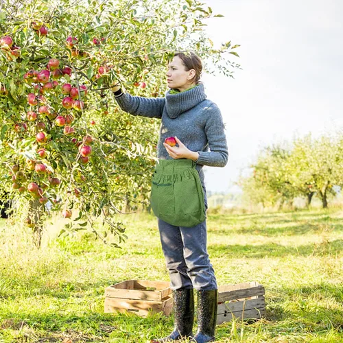 Vista 7 de codree Delantal de cosecha para jardín, delantal de recolección de verduras ajustable con 4 bolsillos para jardineros que recogen frutas