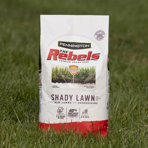 Vista 11 de Pennington The Rebels mix de semillas de césped Tall Fescue para zonas sombrías, 3 libras Semillas de césped para césped, semillas de césped