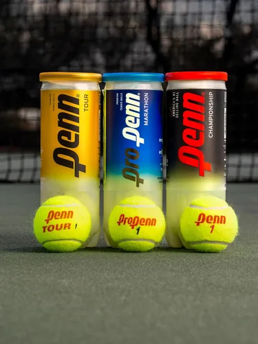 Vista 11 de Penn Championship Tennis Balls - Regular Duty